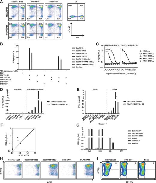 Figure 3. Characteristics of HLA-A*11:01–restricted KRAS G12V-specific murine TCRs. A, expression of human PBL cotransduced with candidate TCR-α and -β chains. Two oligoclonal α chains and three oligoclonal β chains were identified from murine KRAS G12V-reactive splenocytes (1 μmol/L) by 5′RACE (Table 1). All of them were constructed to retroviral vector, pMSGV1, separately. Allogeneic PBLs were stimulated with anti-CD3 (50 ng/mL) for 2 days and cotransduced twice with retroviruses encoding oligoclonal TCR-α and -β chains at 0.5 × 106 cells per well in a 24-well plate. Three days after transduction, T cells transduced with all six possible TCR pairs were labeled with antibodies to CD3, CD8, and mouse TCR-β, and analyzed on a FACS Canto II. Data were gated on the live CD3+ population. B, reactivity of PBL cotransduced with oligoclonal TCR-α and -β chains. Anti-CD3–stimulated human PBL cotransduced with six pairs of α and β chains were cocultured with COS7/A11 transduced with WT, G12D, or G12V minigenes, or pulsed with KRAS wild-type7–16 (WT7-16), KRAS G12D7–16, and KRAS G12V7–16 10-mer peptides. C, affinity comparison of two KRAS G12V-reactive TCRs. Anti-CD3 stimulated human PBL were transduced with retroviruses encoding either TRAV3-3*01/BV4*01 or TRAV19*01/BV13-1*02 TCR as described above. Three days after transduction, TCR-transduced cells were cocultured with COS7/A11 pulsed with 1:10 serial diluted peptides starting from 10−6 mol/L. D, both KRAS G12V-reactive TCRs were HLA-A*11:01 restricted. T cells transduced with either TRAV3-3*01/BV4*01 or TRAV19*01/BV13-1*02 were cocultured with KRAS G12V-positive pancreatic tumor lines transduced with HLA-A*11:01 and their parental HLA-A*11:01–negative tumor lines. E, both TCRs were KRAS G12V specific. T cells transduced with either TCR were cocultured with a panel of HLA-A*11:01–positive pancreatic tumor lines with or without the KRAS G12V mutation. F, correlation between mutated KRAS expression and IFNγ production by T cells transduced with TRAV3-3*01/BV4*01 and tested against a panel of pancreatic tumor lines with or without G12V mutation (R2 = 0.68, P = 0.02). G, TRAV3-3*01/BV4*01 had CD8 coreceptor–independent reactivity. CD8 or CD4 enrichment was performed on T cells transduced with retrovirus encoding TRAV3-3*01/BV4*01, and then cocultured with COS7/A11 KRAS transfectants and pancreatic tumor lines. From B to G, all functional analysis was done by assessing IFNγ production from the coculture supernatant after overnight incubation. H, TRAV3-3*01/BV4*01 proliferated upon antigen-specific stimulation. T cells transduced with TRAV3-3*01/BV4*01 were labeled with CFSE, cocultured with various targets for 3 days, and further labeled with antibodies to human CD3 and murine TCR-β, and then analyzed on a FACS Canto II. Data were gated on the live CD3+ population. I, antigen-specific degranulation of TRAV3-3*01/BV4*01. T cells transduced with TRAV3-3*01/BV4*01 were cocultured with various targets in the presence of anti-CD107a-FITC for 2 hours, labeled with antibodies to human CD3 and to murine TCR-β, and then analyzed on FACS Canto II. Data were gated on live CD3+CD8+ populations.