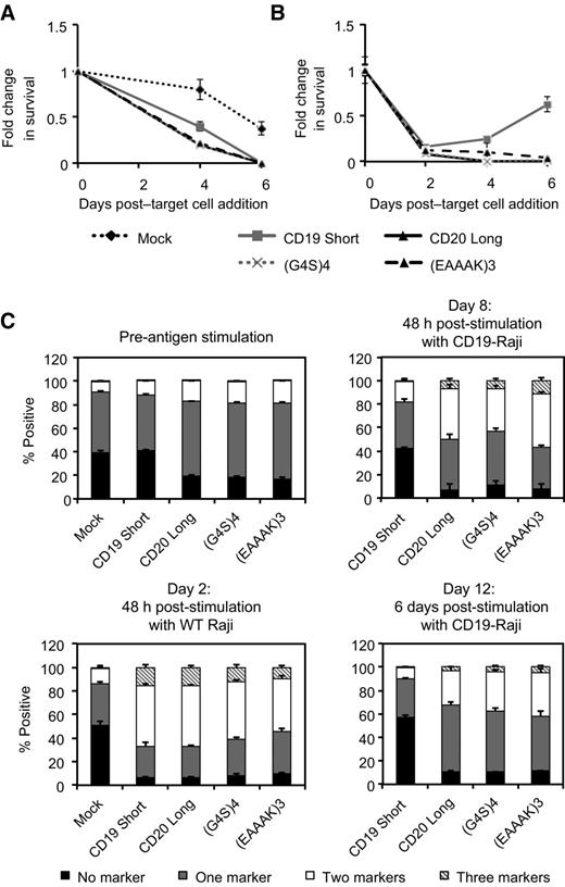 T Cells Expressing CD19/CD20 Bispecific Chimeric Antigen Receptors