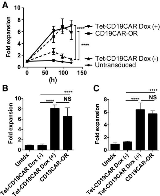 Figure 6. Tet-CD19CAR T cells exhibited proliferative potential only in the presence of Dox. A–C, the indicated CD19CAR T cells were incubated with γ-irradiated (A) CD19-K562, (B) Raji, or (C) SU-DHL6 cells at a ratio of 1:1, without exogenous IL2. CAR T-cell expansion was measured by counting viable cells. Dox(+) Tet-CD19CAR T cells showed significantly higher cell expansion after 4 days compared with Dox(−) Tet-CD19CAR T cells (mean and SEM; ****, P < 0.001, two-way ANOVA analysis). Data were pooled from three independent experiments using three independent Tet-CD19CAR T-cell lines. Data are shown as fold expansion over a time course in (A), and as fold expansions at 120 hours in B and C. NS, not statistically significant.