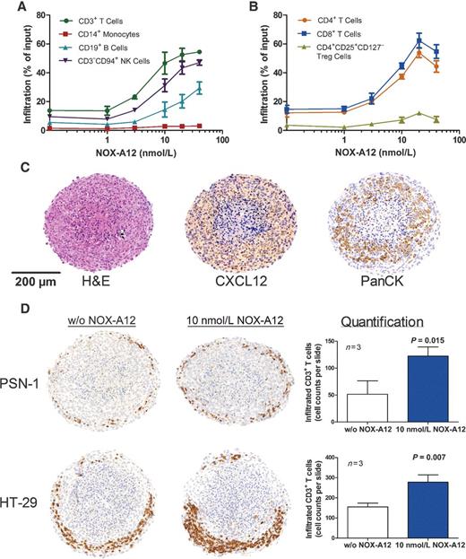 Figure 1. Effect of NOX-A12 treatment on immune-cell infiltration into tumor–stroma spheroids. Spheroids consisting of CXCL12-expressing MS-5 stromal cells and PSN-1 pancreatic adenocarcinoma cells were generated. Peripheral blood mononuclear cells (A) or isolated primary human pan T cells (B–D) were added to the spheroids in the presence of various concentrations of NOX-A12. The next day, immune cell infiltration was quantified by flow cytometry (A, B). Alternatively, spheroids were paraffin-embedded for H&E or immunostaining (C, D). The tumor cell marker PanCK (pan-cytokeratin) revealed a homogeneous distribution of stromal and tumor cells in the spheroid which colocalized with the presence of CXCL12 (C). NOX-A12 increased the amount of CD3+ T cells (brown spots) in both tumor–stroma spheroid models (PSN-1 and HT-29). Bar graphs indicate the numbers of CD3+ T cells (mean ± SD) in sections of three different spheroids per group, counted by three individual analysts (D). Data are representative of three or more independent experiments.