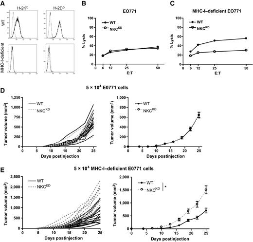 Figure 2. Control of MHC-I–deficient E0771 is dependent on Ly49-mediated licensing. A, Surface expression of H-2Kb and H-2Db on WT and CRISPR-Cas9–mediated H-2K and H-2D knockout (MHC-I–deficient) E0771 cells. B, Cytotoxicity assay showing killing of E0771 tumor cells by WT- and NKCKD -derived ALAKs. Data representative of four independent experiments. C, Cytotoxicity assay showing killing of MHC-I–deficient E0771 tumor cells by WT- and NKCKD-derived ALAKs. Data representative of three independent experiments. D, Formation of mammary tumors following injection of 5 × 104 E0771 cells into the mammary fat pad of groups of WT (n = 15) and NKCKD (n = 11) mice. Left, each line represents a single mouse. Right, mean ± SEM. Data pooled from three independent experiments. E, Formation of mammary tumors following injection of 5 × 104 MHC-I–deficient E0771 cells into the mammary fat pad of groups of WT (n = 16) and NKCKD (n = 13) mice. Left, each line represents a single mouse. Right, mean ± SEM. Data pooled from three independent experiments.