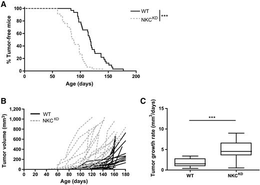 Figure 3. NK cell–mediated control of mammary tumor development is Ly49 dependent. A, Mammary tumor development in NKCKD.MMTV-PyVTTg (NKCKD; n = 31) and WT.MMTV-PyVTTg (WT; n = 31) mice. B, Individual tumor growth measured weekly in MMTV-PyVTTg mice on WT (n = 20) and NKCKD (n = 21) background, with each line representing a single tumor. C, Tumor growth rate calculated from tumor size in B, with respect to time. Top and bottom limits of the box represent the 25th and 75th percentiles, with whiskers indicating minimum and maximum values. Each mouse represents an independent experiment.