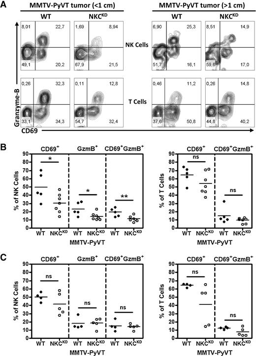 Figure 6. Analysis of TILs in mammary tumors from MMTV-PyVTTg mice. A, Tumor-infiltrating NK cells (NKp46+CD3−) and T cells (NKp46−CD3+) in early (<1 cm) and end-stage tumors (>1 cm) from WT and NKCKD mice were stained ex vivo for activation marker CD69 and granzyme B production, and analyzed by flow cytometry. Representative plots from one mouse are shown. Cell percentages are indicated in each quadrant. B, Frequency of activated tumor-infiltrating NK and T cells based on CD69 and granzyme B production in early-stage tumors. C, Frequency of activated tumor-infiltrating NK and T cells based on CD69 and granzyme B production in end-stage tumors. Each dot represents a single tumor. Horizontal line, mean value.