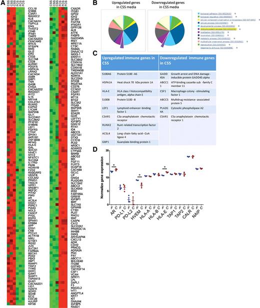 Figure 3. Androgen deprivation leads to gene changes in 22Rv1 prostate tumor cells. 22Rv1 cultured in either androgen-replete (FCS, F) or androgen-deprived (CSS, C) medium for greater than 6 months were analyzed for mRNA gene expression differences (HTG EdgeSeq). A, relative mRNA quantities for all genes significantly upregulated (left) or downregulated (right) in androgen-deprived medium compared with full medium. Heatmap shows relative expression per gene between FCS and CSS groups (green, low expression; red, high expression) and ranked top to bottom by fold change for all significantly differentially expressed genes. B, The gene ontology subsets and (C) specific genes associated with immune function. D, Data for selected genes associated with immune recognition and antigen presentation. *, P < 0.05 by Student t test. (HVEM, herpesvirus entry mediator (TNFRSF14); TAP, transporter associated with antigen processing; CALR, calreticulin; NAIP, baculoviral IAP repeat-containing protein 1).