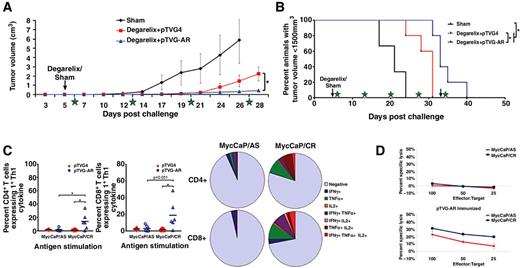 Figure 5. Androgen deprivation combined with immunization using pTVG-AR delayed the recurrence of castrate-resistant Myc-CaP tumors. Myc-CaP/AS tumor-bearing mice with palpable tumors were given a sham treatment (n = 3) or degarelix along with immunization every 2 weeks with pTVG-AR (n = 5) or empty vector (n = 5) and followed for tumor growth (A, tumor volumes; B, Kaplan–Meier curve). Stars represent times of immunization. Results are representative of three independent studies. Splenocytes from androgen-deprived animals immunized with pTVG4 or pTVG-AR were cultured with Myc-CaP/AS or Myc-CaP/CR cells and assessed for CD4+ and CD8+ T-cell intracellular cytokine expression (C, with polyfunctional expression quantified in side pie charts) and (D) cytotoxicity.