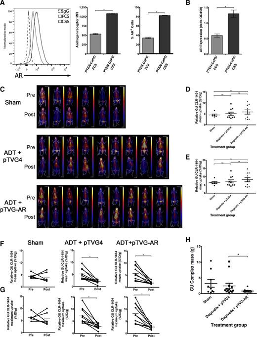 Figure 6. Androgen deprivation increases AR expression in PTEN-deficient tumors, and immunization with pTVG-AR delays the development of castrate-resistant prostate tumors in Pten−/− mice. PTEN-CaP8 tumor cells cultured in androgen-replete (FCS) or androgen-deprived (CSS) medium were analyzed for AR expression by (A) intracellular staining (quantified for amplitude and expression in side panels) and (B) quantitative ELISA. Twenty-week-old PbCre+ PTENfl/fl mice were given a sham treatment (n = 9), or degarelix along with immunization every 2 weeks with pTVG4 (n = 13) or pTVG-AR (n = 13), for 5 months. C, One week prior to initiation and completion of treatment, animals were administered with 124I-CLR1404 and PET/CT scanned 96 hours after intravenous injection (PET/CT images pre- and posttreatment). Signal greater than 60% of the max PET signal was used to calculate the mean and max percent injected dose (%ID/gtissue) for tumor and was normalized to background muscle uptake. Pretreatment (D) mean and (E) maximum 124I-CLR1404 uptake were used for randomization of treatment groups. F, Changes in %ID/gmean and (G) %ID/gmean pre- to posttreatment were calculated (mean values shown by solid horizontal bars). H, Genitourinary complex masses were collected during necropsy. *, P < 0.05 by Student t test (A and B) and Mann–Whitney U test (D–H).