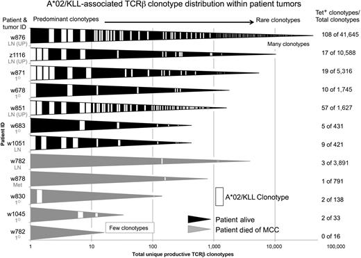 Figure 3. Frequency and number of KLL-specific clonotypes in tumors from patients with KLL-specific T cells in PBMCs or cultured TILs. A wedge (the length of which represents the total number of productive unique clonotypes in each tumor) is indicated for each tumor on a log scale. Each tumor is identified by patient “w” or “z” number and type of tumor. Tumors from 11 of 12 patients were analyzed; no tumor could be acquired for patient w750. Primary tumor from w782 was small and LN was analyzed to ensure adequate sampling. KLL-specific clonotypes (white) are depicted within each tumor with a width approximately proportional to their frequency within each tumor. More predominant clonotypes are located to the left for each tumor. The number of KLL-specific clonotypes out of the total number of unique clonotypes is tabulated at far right. Wedges for tumors from patients alive at time of censoring are in black, and wedges for tumors in gray are from patients who have died of MCC. UP = unknown primary, Met = distant metastasis.