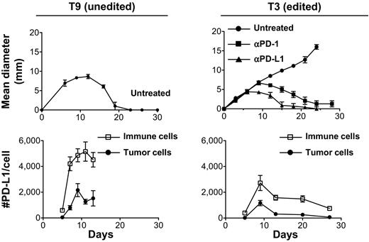 Figure 1. Highly related T9 and T3 sarcoma cells show distinct tumor growth patterns but similar PD-L1 expression kinetics in vivo. Top, In vivo tumor growth of unedited T9 and edited T3 sarcoma clones in naïve syngeneic 129S6 strain WT mice. Groups of 5 mice bearing T9 sarcoma cells were left untreated. Groups of 5 mice bearing T3 sarcoma cells were left untreated or treated with anti–PD-1 (RMP1–14) or anti–PD-L1 mAb (10F.9G2). Data are shown by mean ± SEM from at least two independent experiments. Bottom, Numbers of PD-L1 molecules on tumor (CD45−) and immune cells (CD45+) in vivo. Data are shown by mean ± SEM from two independent experiments (n = 4).