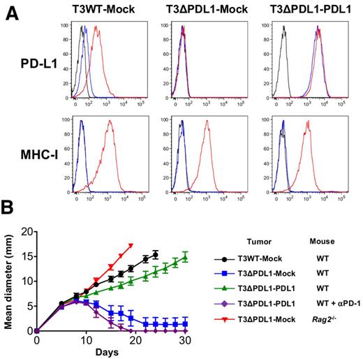 Figure 3. PD-L1 expressed on edited T3 sarcoma cells prevents their immune elimination. A, T3ΔPDL1-PDL1 cells express high levels of PD-L1 constitutively. In vitro PD-L1 and MHC class I (H2-Db) expression on cells treated with IFNγ. Black, isotype control; blue, untreated; red, IFNγ-treated. Data are shown from at least two independent experiments. B, In vivo tumor growth of mock-transduced T3WT cells (T3WT-Mock), mock-transduced T3ΔPDL1.1 cells (T3ΔPDL1-Mock), and T3ΔPDL1.1 cells with enforced PD-L1 expression (T3ΔPDL1-PDL1) in WT or Rag2−/− mice. Tumor cells (0.5 × 106) were injected subcutaneously on day 0 in the mice. Mice bearing T3ΔPDL1-PDL1 cells were left untreated or treated with anti–PD-1 (4H2). Data are shown by mean ± SEM from at least two independent experiments (n = 5).