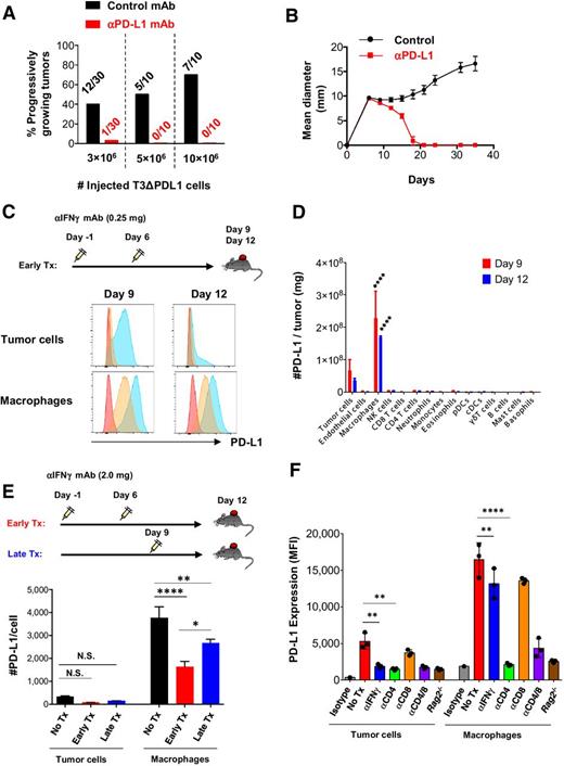 Figure 7. Host PD-L1 participates in inhibiting immune elimination of T3 sarcoma cells through distinct regulatory machineries. A, Percentage of progressively growing T3ΔPDL1.1 tumors in WT mice treated either with control mAb or with anti–PD-L1. Numbers represent mice with progressively growing tumors/all mice injected with the indicated number of tumor cells on day 0. Data are shown from at least two independent experiments. B, Treatment of WT mice with anti–PD-L1 (10F.9G2) leads to rejection of 10 × 106 T3ΔPDL1.1 cells. Data are shown by mean ± SEM from two independent experiments (n = 5). C, PD-L1 expression on tumor cells and TAMs in T3 tumors on days 9 and 12. Mice were treated with anti–IFNγ-neutralizing mAb (0.25 mg/mouse) on days –1 and 6, and injected with T3 sarcoma cells on day 0. Red, isotype; blue, untreated mice; orange, mice treated with anti-IFNγ. Data are shown from three independent experiments. D, Absolute numbers of PD-L1 molecules expressed on cell types in pooled three T3 tumors on days 9 and 12. Data are shown by mean ± SEM from three independent experiments (n = 3). E, A large proportion of PD-L1 molecules on TAMs are IFNγ independent. Mice were treated with anti–IFNγ-neutralizing mAb (2.0 mg/mouse) either on days –1 and 6, or on day 9, and injected with T3 sarcoma cells on day 0. PD-L1 expression on tumor cells and TAMs was analyzed on day 12. Data are shown by mean ± SEM from three independent experiments (n = 6). F, CD4+ T cells contribute to PD-L1 expression on TAMs in the absence of IFNγ. F244 sarcoma cells were injected into either WT or Rag2−/− mice. WT mice were left untreated or treated with anti–IFNγ-neutralizing mAb, anti-CD4 mAb, anti-CD8 mAb, or the combination. PD-L1 expression on tumor cells and macrophages in the tumors was analyzed on day 8. Data are shown by mean ± SEM from at least two independent experiments (n = 3). Data in D, E, and F were compared using one-way ANOVA followed by multiple comparison test. N.S., not significant; *, P < 0.05; **, P < 0.01; ****, P < 0.0001.