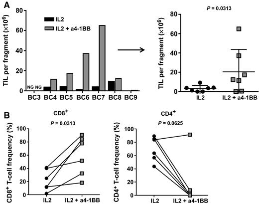 Figure 1. Addition of agonistic anti–4-1BB antibody allows for the generation of CD8+ TILs from TNBC tumor fragments. A, The total number of TILs expanded from 7 TNBC patients, reported as per single-fragment growth, because a diverse number of fragments were put in culture depending on the tumor sample size obtained after surgery. The absolute number is shown as determined by trypan blue exclusion. Growth per patient (left) and per culture condition (right) is shown. B, The percentage of CD8+ TILs (left) and CD4+ TILs (right) obtained after 28 days of culture with IL2 alone or with IL2 + anti–4-1BB from 6 independent lines is shown.