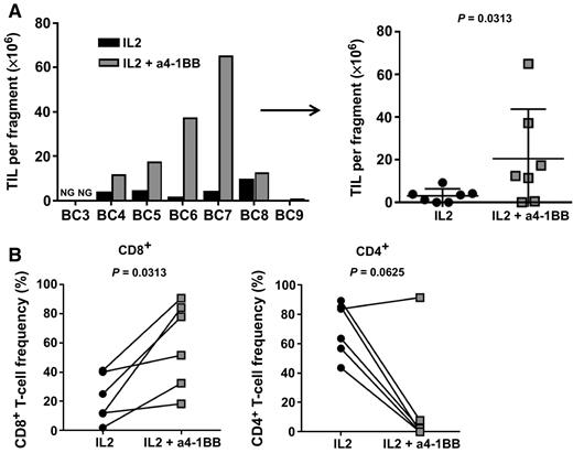 4-1BB–Enhanced Expansion of CD8+ TIL from Triple-Negative Breast Cancer ...