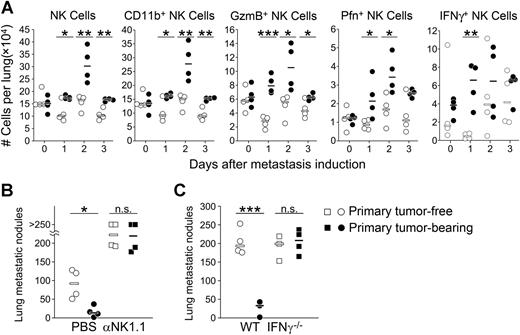 Figure 2. Experimental metastasis inhibition by primary tumors is mediated by NK cells and IFNγ. A, Total cell numbers of NK cells and NK cell activation status in the lungs on days 0, 1, 2, and 3 after metastasis induction in primary tumor-free (open symbols) or tumor-bearing (closed symbols) mice (n = 4 for each group). Data are representative of two independent experiments. B, Number of B16F10 lung metastatic nodules in primary tumor-free or primary tumor-bearing mice (as in Fig. 1B) upon NK cell depletion using anti-NK1.1 mAb (n = 4 for each group. C, B16F10 lung metastatic nodules in IFNγ−/− mice in the presence or absence of primary tumor (n = 3–4 for each group). Each symbol represents one animal. *, P < 0.05; **, P < 0.01; ***, P < 0.001 (unpaired two-tailed t test).