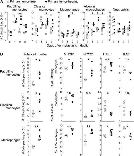 Figure 3. Primary tumors induce a myeloid response dominated by M1-like monocytes and macrophages. A, Total cell numbers of myeloid populations in the lungs on days 0, 1, 2, and 3 after metastasis induction in mice without (open circles) or with (closed circles) primary tumor. Data are representative of two independent experiments (n = 4 for each group). B, Activation and polarization status of monocytes (patrolling and classical) and macrophages (analyzed as in Supplemental Fig. 2) in the lungs of primary tumor-free versus primary tumor-bearing mice on day 2 after metastasis induction (n = 4 for each group). Each circle represents one animal. *, P < 0.05; **, P < 0.01 (unpaired two-tailed t test).