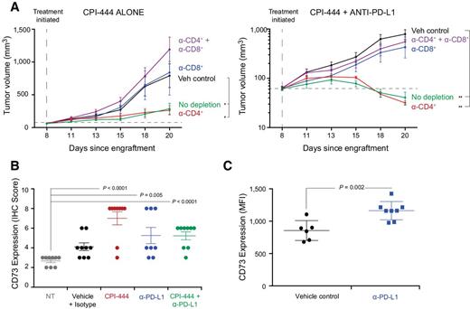 Figure 6. CPI-444 efficacy requires CD8+ T cells and is associated with increased CD73 expression. A, Depletion of CD8+ T cells prior to CPI-444 monotherapy (100 mg/kg, left) or CPI-444 (100 mg/kg) + anti–PD-L1 (200 μg) combination treatment (right) abolishes antitumor efficacy in the MC38 tumor model. Anti-CD4 (clone GK1.5, 100 μg) and anti-CD8 (clone 53-6.72, 500 μg) were used for depletion of CD4+ and CD8+ subsets. B, CD73 expression was significantly higher in MC38 tumors treated with CPI-444 (100 mg/kg) + anti–PD-L1 (200 μg) relative to controls. CD73 was assessed by IHC and scored as a composite of frequency of expression × intensity of expression (scale: 1–5). Endothelial cell staining was excluded from the assessment. C, Anti–PD-L1 (200 μg) treatment increased CD73 expression on splenocytes from MC38 tumor–bearing mice. Significance was calculated using two-way ANOVA (*, P < 0.05; **, P < 0.01; ***, P < 0.001).