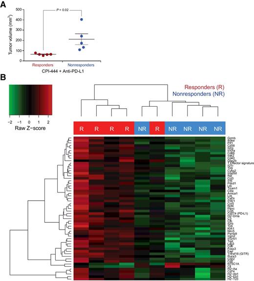 Figure 7. Gene expression changes associated with response to combination CPI-444 and anti–PD-L1 treatment in MC38 tumors. A, Tumor volumes of responding (n = 5) and nonresponding (n = 5) MC38 tumors on day 17 post engraftment. Significance was calculated using unpaired Student t tests. B, RNA from responding (R) and nonresponding (NR) tumors treated with combination CPI-444 (100 mg/kg) and anti–PD-L1 (200 μg) was assayed using the NanoString PanCancer Immune Panel. All genes with raw P value less than 0.01 are shown. Positive fold-change values represent genes with higher expression in responding samples.