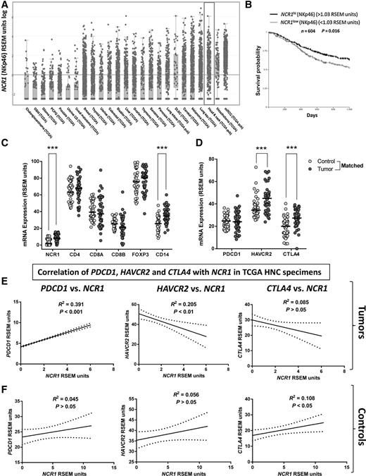 Figure 2. Elevated expression of NCR1 in HNC specimens (TCGA) is associated with better survival and correlates with PDCD1 expression. A, NCR1 mRNA expression (RSEM units) in HNC tumor specimens (gray box) ranks third highest among all solid tumors (n = 500, TCGA). B, Kaplan–Meier survival curve of HNC patients with high versus low tumor NCR1 expression. NKp46 (NCR1)hi versus NKp46 (NCR1)low (n = 604, TCGA c-Bio portal, log-rank test, P = 0.016). C, NCR1, CD4, CD8A, CD8B, FOXP3, and CD14 mRNA expression in HNC tumor specimens and matched control mucosa (n = 43, TCGA, Kruskal–Wallis test; ***, P < 0.001). D, PDCD1, HAVCR2, and CTLA4 expression (RSEM units) in tumor specimens and matched control mucosa (n = 43, TCGA, Kruskal–Wallis test; ***, P < 0.001). E, Correlation of NCR1 expression and PDCD1 (PD-1), CTLA4 (CTLA-4), or HAVCR2 (TIM-3) in HNC specimens (Pearson r test, graphs show linear regression curve fit. PD-1–positive correlation P < 0.001; CTLA-4, negative correlation P > 0.05; TIM-3, negative correlation P < 0.01). F, Correlation of NCR1 expression with that of PDCD1, CTLA4, and HAVCR2 in head and neck control mucosa (Pearson r test, graphs show linear regression curve fit; n = 43, TCGA).