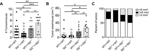 Figure 2. St2 deficiency in the radioresistant cell compartment promotes colon tumor development. Tumor burden of number of WT and St2−/− irradiated hosts following reciprocal, adoptive BM transfer, challenged thereafter with 6×AOM and assessed 11–20 weeks after the last AOM administration depending on the onset of the disease in each of the independent experiments. A and B, Number of tumors per mouse (A) and the total tumor area per mouse (B). C, Size distribution of 6×AOM-induced colonic tumors of mice analyzed above. Data were pooled from two (B, C) or four (A) independent experiments and shown as mean ± SEM. Tumor burden was analyzed when disease reached ethical endpoints, with each symbol representing an individual mouse. Data were analyzed using unpaired Student t test. ***, P < 0.001; **, P < 0.01; *, P < 0.05; n.s., not significant.
