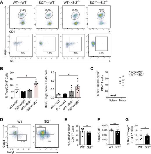 Figure 4. Loss of IL33 signaling in both the radiosensitive and the radioresistant cell compartments promotes Treg infiltration within colon tumors. A–C, Flow cytometric analysis of enzymatically digested tumors collected from 6×AOM-treated BM chimeric mice generated as in Fig. 2. Representative FACS plots show St2 and Foxp3 expression on gated CD4+/CD3+/CD90High/CD45+/EpCAM− T cells (A). Data show Foxp3+/CD4+ Treg among CD45+/EpCAM− hematopoietic cells (B, left), and ratio of Treg to EpCAM+/CD45− tumor cells (B, right). Frequency of St2+ cells among Foxp3+/CD4+ Tregs within the spleen or tumors from the indicated BM chimeras (C). A–C, Bars show mean ± SEM; symbols represent individual mice. D–G, Flow cytometric analysis of enzymatically digested colon tumors from 6×AOM-treated WT or St2−/− mice. Representative FACS plots showing intracellular expression of Gata3 and Rorγt in Foxp3+/CD4+ Tregs (D). Frequency of Gata3+ cells within Foxp3+/CD4+ Tregs (E). Quantification of Foxp3 expression as geometric mean fluorescence (GMFI) in Foxp3+/CD4+ Tregs (F). Frequency of Rorγt+ (Gata3−) within Foxp3+/CD4+ Tregs (G). Data are representative of three independent experiments and shown as mean ± SEM. Data were analyzed using unpaired Student t test. *, P < 0.05; n.s., not significant.