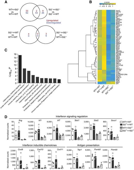 Figure 5. Loss of IL33 signaling in the radioresistant cell compartment leads to a decrease in IFN gene signature and immune activation within colon tumors. Whole genome expression analysis of tumors collected from BM chimeras generated as in Fig. 2. A, Distribution of commonly and uniquely differentially expressed genes between tumors collected from the indicated BM chimeras (red—upregulated, blue—downregulated). B, Relative expression level (z score) of the 65 DE genes commonly regulated in BM chimeras in which St2 deficiency was restricted to the radioresistant compartment as indicated in A. C, Metacore analysis of biological processes for the 65 DE genes selected as in B. D, Normalized expression counts of selected genes in tumors from the indicated BM chimeras as determined by RNAseq. Mean ± SEM normalized expression counts with each symbol representing an individual mouse.