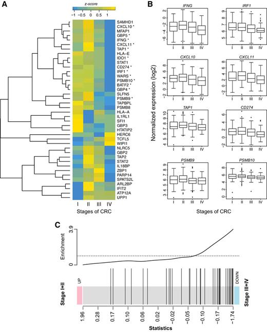 Figure 6. Downregulation of IL33-regulated gene signature is associated with disease progression in colon cancer patients. Gene expression analysis of the 363 tumors samples from the CRC TCGA dataset was performed. A, Heat map illustrating relative expression level (z score) of the 40 orthologs from the St2-dependent gene signature (as defined in Fig. 5B) across the four stages of disease progression in CRC patients (stage I, n = 59; stage II n = 139; stage III, n = 114; and stage IV, n = 51). B, Boxplots of normalized gene expression (log2 scale) by stage of CRC. Data show median ± upper and lower quartiles. Symbols represent outlier patients. C, Enrichment analysis of the 40 ortholog gene set in early stages (stage I/II) vs. late stages of CRC (stage III/IV).