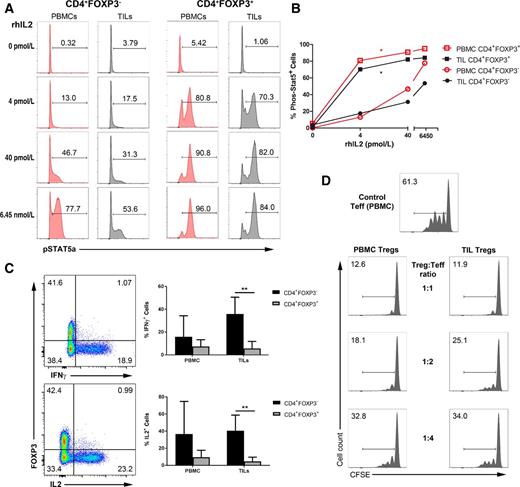 Figure 2. Tumor-infiltrating CD4+FOXP3+ T cells exhibit Treg functions. Functional analysis of PBMC- versus TIL-derived CD4+FOXP3+ T cells from patients at the time of TUR-B. A, pSTAT5 phosphorylation after rhIL2 stimulation. B, pSTAT5 dose–response curves for the indicated populations. C, Intracellular flow cytometry demonstrating scarce production of IL2 and IFNγ in freshly isolated TIL-derived FOXP3+ cells of one representative patient at the time of TUR-B, dot plots gated on CD4+ cells (left). Mean cytokine expression in the investigated sites as indicated (n = 5; right). FOXP3+ and FOXP3− populations compared using paired t test. D, PBMC-derived CD4+CD25− Teff responder cells were cocultured with indicated ratios of Tregs derived from TILs or PBMCs, respectively. Responder proliferation was assessed by CFSE dilution. Flow cytometric data are representative of five (C) or two (A, B, D) independent experiments. Bar graphs indicate mean ± SD. *, P < 0.05; **, P < 0.01.