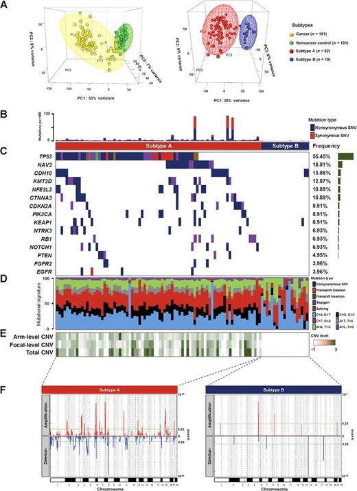Figure 1. Identification of the subtypes of LUSC. A, Principal component analysis (PCA) of the top 1,000 most variable genes among the subtype A, B, and noncancer control were performed across all samples. 3D PCA scores plots of top 1,000 of most variable genes was drawn as meshes containing cancer and noncancer control points (left) and subtype A and B points (right) based on K-means clustering (k-means = 2) on the first three PCs with 95% confidence interval ellipsoids. B, Ratio of somatic synonymous and nonsynonymous mutations in mutations per megabase and subtypes were classified. C, Name of significantly mutated genes (left), distribution of mutations across 101 LUSC, and frequency of significantly mutated genes (right) were plotted. D, The mutational signature revealed by somatic mutations in whole-exome sequencing. E, Arm-level CNV, focal-level CNV, and total level CNV of individual sample displayed in each column. F, Significant, focally amplified (red), and deleted (blue) regions are plotted across chromosomal locations.