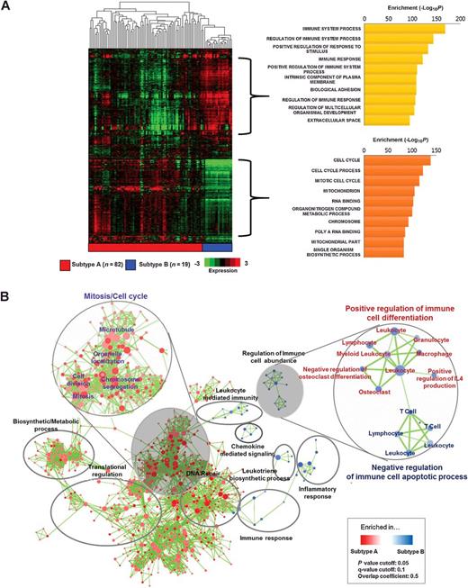 Figure 2. Molecular subtypes at transcriptomic expression level. A, Heat map depicted 5,387 differentially expressed genes in subtypes A and B, and two distinct clustered genes in differentially expressed genes were selected. Top 10 GO gene sets in either clusters were determined based on the rank of enrichment −log10(P value) of pathway and the matched significance criteria (P < 0.05 and FDR q value < 0.1) B, Network visualization based on gene enrichment analysis. Nodes represent subtype A (red) and B (blue) networks, and green edges represent genetic overlap between networks using GO enrichment analysis (permutation = 1,000). The size of each node reflects the number of genes included in the network. Genes in significant networks were annotated and grouped with simplified GO terms. Networks meeting the cutoff conditions detailed at the bottom of the figure (right) were visualized with the Enrichment Map plugin for Cytoscape (P ≤ 0.05, FDR q value ≤ 0.1, and similarity ≤ 0.5).