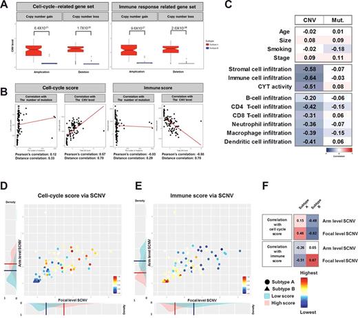 Figure 4. Impacts of genomic alterations on tumor microenvironments in LUSC. A, The level of total CNVs in cell-cycle–related gene sets is displayed across classes (left), and the level of total CNVs in immune-related gene sets is displayed across classes (right). B, The association between genomic alteration load (the number of mutations, the level of CNV) and cell-cycle score is shown (left) and the association between genomic alteration load and immune score is shown (right). C, The correlations between genomic alterations (CNVs, mutations) and immune-related properties were displayed. D, The cell-cycle scores are shown in each sample, and the high score densities and low score densities of cell-cycle score are plotted on the x and y axes. E, The immune scores are shown in each sample, and the high score densities and low score densities of immune score are plotted on the x and y axes. F, The correlation between CNV level (arm, focal) and cell-cycle score or immune score is displayed across subtype.