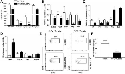 Figure 3. Targeting IL22 changes the lung microenvironment in Kras-induced lung tumors. A, Total inflammatory cell and lineage-specific leukocyte numbers from the BALF of CC-LR (N = 10) and CC-LR/IL22KO (N = 6) mice at the age of 14 weeks. B, Relative expression of type 2 macrophage mRNA signature in whole lungs from CC-LR (N = 4) and CC-LR/IL22KO (N = 5) mice at the age of 14 weeks. C, Relative expression of Il6, Il17, Tnfa, Ifng, and Gzmb mRNA in whole lungs of CC-LR and CC-LR/IL22KO mice at the age of 14 weeks. D, Relative mRNA expression of T cell–specific transcription factors in whole lungs of CC-LR (N = 4) and CC-LR/IL22KO (N = 5) mice at the age of 14 weeks. E, Representative flow cytometry analysis of IFNγ-expressing CD4+ and CD8+ T cells in whole lungs of CC-LR and CC-LR/IL22KO mice at the age of 14 weeks (N = 6 per group). F, Percentage of CD4+Foxp3+ T regulatory cells in whole lungs of CC-LR and CC-LR/IL22KO mice at the age of 14 weeks (N = 6 per group). Data represent mean ± SEM; unpaired t test, data representative of 2 independent experiments; *, P < 0.05; **, P < 0.005; ***, P < 0.001.