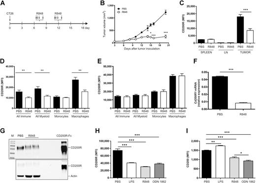 Figure 1. Intratumor administration of R848 decreases CT26 tumor size. A, Treatment scheme of CT26 tumors: R848 was injected intratumorally in two cycles (days 9 and 13 after inoculation of tumor cells) at 0, 4, 6, and 24 hours. B, Tumor volumes in mice treated with R848 or PBS, n = 8. C, CD200R expression measured by flow cytometry on immune (CD45+) cells in dissociated organs—spleen, tumor draining lymph nodes (LN) and tumor. Organs were collected at day 17 after inoculation of CT26 cells, n = 7–8. CD200R expression on tumor-infiltrating immune cells from mice treated with double (D) and single (E) cycle of R848 and control mice, n = 7–8. B–D, Reproduced three times. Significance was calculated with t test. *, P < 0.05; ***, P < 0.001. Total expression of CD200R mRNA measured by RT-PCR (F) and protein level measured by Western blot (G) in BMDM cells stimulated with R848. CD200R (H) and CD200 (I) expression in BMDM cells stimulated with TLR4, 7, and 9 agonists analyzed by flow cytometry, n = 4. E and F, Performed once. G–H, Reproduced three times. Significance was calculated with one-way ANOVA. *, P < 0.05; **, P < 0.01; ***, P < 0.001. Experiments are repeated from two to four times.