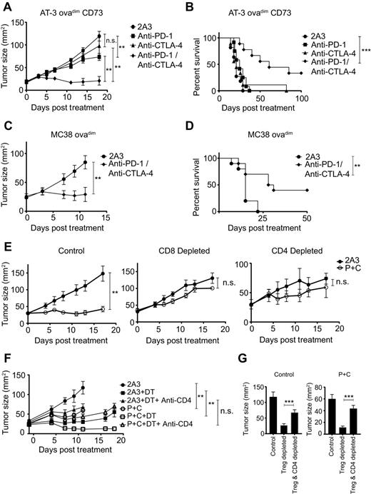 Figure 1. Dual blockade of PD-1 and CTLA-4 results in robust antitumor immune responses. C57BL/6 WT (A–E) or DEREG (F and G) mice were injected s.c. with (A, B, E–G) 5 × 105 AT-3ovadim CD73+ cells or (C and D) 1 × 106 MC38 ovadim tumor cells. Fourteen (A–E) or 17 (F and G) days after tumor inoculation, mice were treated with either anti–PD-1 (200 μg/mouse), anti–CTLA-4 (150 μg/mouse), isotype control (2A3; 200 μg/mouse) or a combination of anti–PD-1 and anti–CTLA-4 (P+C). Treatment was repeated on days 18, 22, and 26. A, C, E, Data shown as the mean ± SEM of 6 mice per group of a representative experiment (n = 2). B and D, Survival was determined as when tumor size exceeded 100 mm2 n = 9–12 per group. E, On days 13, 14, and 21, mice were treated with either PBS, anti-CD4 (250 μg/mouse), or anti-CD8 (250 μg/mouse). F and G, Mice were treated on days 16, 17, and 21 with either PBS, anti-CD4 (250 μg/mouse) and/or diphtheria toxin (DT; 0.5 μg/mouse). G, Mean tumor size ± SEM at day 11 after treatment. Results shown as the mean ± SEM of 6–10 mice per group. **, P < 0.01; ***, P < 0.001; n.s., not significant (two-way ANOVA).