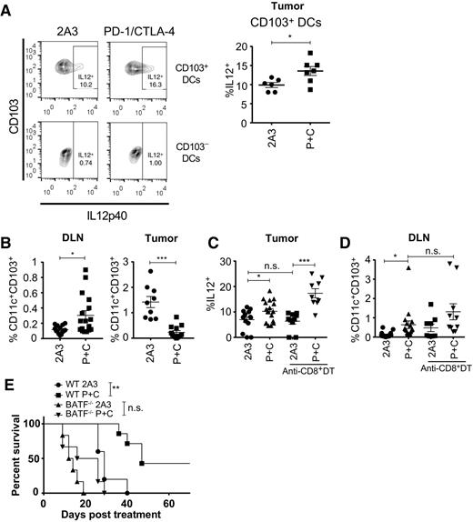 Figure 4. Dual blockade of PD-1 and CTLA-4 results in the activation of CD103+ DCs and their accumulation in DLNs. A, B, and E, C57BL/6 WT; C–D, DEREG, or E, Batf3−/− mice were injected s.c. with 5 × 105 AT-3ovadim CD73+ tumor cells. Mice were treated with 2A3 or anti–PD-1 and anti–CTLA-4 (P+C) and where indicated with anti-CD8 and diphtheria toxin (DT) as per Fig. 3. Seven days after treatment (A–C) tumor-infiltrating leukocytes and (B, D) DLNs were analyzed by flow cytometry. A and C, The proportion of CD103+CD11c+ (top) or CD103−CD11c+ (bottom) DCs expressing IL12 following a 4-hour incubation in GolgiPlug/GolgiStop. Right, Pooled data. B, D, The proportion of CD45+ cells in the tumor or DLN that were CD103+CD11c+ DCs. B–D, Data are the mean ± SEM of 8–14 per group analyzed with a one-way ANOVA/Tukey test. E, Survival of mice is shown for n = 5–8 mice per group, with survival being determined as when tumors exceeded 100 mm2. Statistical significance determined by Mantel–Cox test. *, P < 0.05; **, P < 0.01; ***, P < 0.001; n.s., not significant.