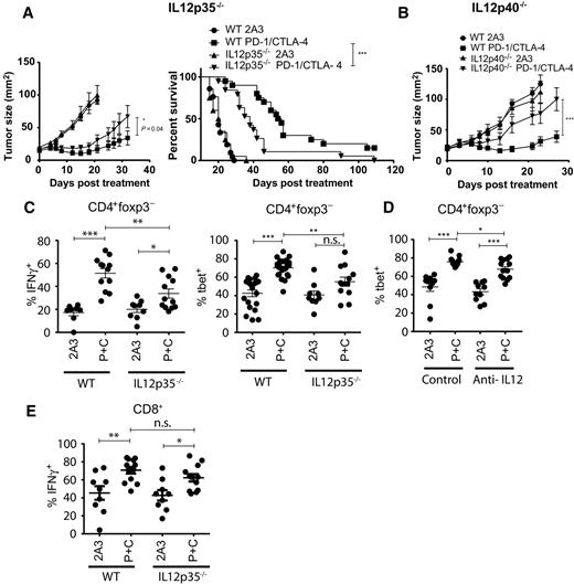 Figure 7. Activation of CD4+Foxp3− cells and therapeutic activity of anti–PD-1/anti–CTLA-4 combination therapy is partly IL12 dependent. A–E, C57BL/6 WT; A, C, E, IL12p35−/−; or B, IL12p40−/− mice were injected s.c. with 5 × 105 AT-3ovadim CD73+ tumor cells and treated with 2A3 or anti–PD-1 and anti–CTLA-4 (P+C) as per Fig. 3. A and B, Tumor growth and survival of WT, IL12 p35−/−, and IL12p40−/− mice. Tumor growth data are shown as the mean ± SEM of 7–8 mice per group from a representative experiment, and survival, determined as when tumor size exceeded 100 mm2, of n = 7–21 per group from pooled experiments is shown. Statistical test: two-way ANOVA/Mantel–Cox test. C–E, On day 21, leukocytes were isolated from tumors and analyzed by flow cytometry. D, Where indicated mice were treated with 500 μg per mouse anti-IL12 (R2-9A5) on days 13, 14, and 18. Expression of IFNγ and Tbet in C–D, CD4+Foxp3− and E, CD8+ T cells is shown. Data, mean ± SEM of 8–25 mice per group. *, P < 0.05; **, P < 0.01; ***, P < 0.001; n.s., not significant (one-way ANOVA/Tukey).