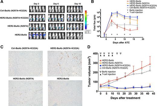 Figure 5. T-cell trafficking into HER2+ human breast cancer PDX in DKO mice to exert antitumor effect. A, Representative bioluminescence images of T-cell trafficking over days of BsAb treatment. B, Quantitation of T-cell trafficking into tumors over time by bioluminescence (n = 5 mice/group) expressed as total flux or radiance (photons/sec, p/s) in each pixel integrated over the entire tumor contour (region of interest). ATC, activated T cells. C, Representative IHC images of huCD45+ T-cell infiltration in tumor sections on day 6 (100X magnifications). D, Tumor response among HER2+ breast cancer PDX (M37; n = 5 mice/group) after treatment with Ctrl-BsAb, Her2-BsAb, and its Fc mutants. The results shown are representative results from at least three independent repeats. The significant differences were calculated based on AUC, shown in Supplementary Fig. S8.