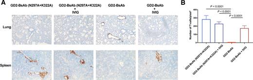 Figure 7. Effect of IVIG on T-cell trafficking. A, Representative IHC images of huCD45+ T cells in lungs and spleens of mice treated with and without IVIG (100× magnifications). B, Enumeration of T cells per pixel2 (area) of IHC images of huCD45+ T cells in mouse spleens. Cells were counted from two randomly selected fields for each mouse (n = 10). The results shown are representative results from at least three independent repeats. Statistical significance of all results was determined by t test. If it is not labeled, it is not significant.