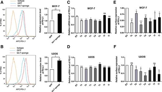 Figure 2. Effect of let-7 on PD-L1 expression in human cancer cells. Cultured cells were transfected with a let-7 sponge or constructs encoding individual let-7 family members. A–B, 48 hours after transfection, cell-surface expression of PD-L1 in MCF-7 cells (A) or U2OS cells (B) transfected with the let-7 sponge or control (GFP) was quantified by flow cytometry MFI. Representative histograms are shown on the left for corresponding quantitative data on the right. C–D, In MCF-7 cells (C) or U2OS cells (D) expressing let-7 miRNAs as indicated (let-7a, 7b, 7c, 7d, 7e, 7f, and 7i) or control (EV), PD-L1 mRNA level was quantified by qPCR. E–F, Cell-surface expression of PD-L1 in MCF-7 cells (E) or U2OS cells (F) expressing let-7 miRNAs as indicated or control (EV) was analyzed by flow cytometry MFI. For all experiments, cells were stimulated with IFNγ for 24 hours prior to analysis. Error bars, SD from mean for three independent experiments. P values were calculated using a two-tailed Student t test (*, P < 0.05; **, P < 0.01; ***, P < 0.001).