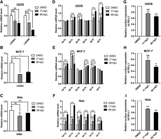Figure 4. C1632 rescues let-7 expression and suppresses PD-L1 in human cancer cells. Human cancer cells were treated with DMSO or C1632 (17 and 68 mg/L) for 3 days. Cells were stimulated with IFNγ for 24 hours prior to analysis. Cells were collected for flow cytometry analysis, and RNA was isolated for qPCR. A–C, LIN28 mRNA was measured after drug treatment in U2OS (A), MCF-7 (B), and Hela cells (C). D–F, Impact of C1632 on expression of let-7 family members in U2OS (D), MCF-7 (E), and Hela cells (F). G–I, Quantification of flow cytometry MFI showing PD-L1 expression changes following drug treatment in U2OS (G), MCF-7 (H), and Hela cells (I). Error bars, SD from the mean. P values were calculated using the Student t test (*, P < 0.05; **, P < 0.01; ***, P < 0.001; ns: not significant).
