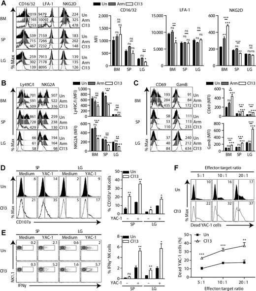 Figure 2. NK cell–mediated cytotoxicity is enhanced in LCMV-Cl13–infected mice. A–C, C57BL/6 mice were infected with the LCMV-Arm or LCMV-Cl13. At 40 dpi, bone marrow, spleen, and lung NK cells were stained and analyzed by flow cytometry. A, Activating receptor expression in bone marrow, spleen, and lung NK cells. Numbers in the plots indicate activating receptor MFI. The MFIs of NK receptors in the indicated tissues are also summarized. B, Inhibitory receptor (Ly49C/I and NKG2A) expression in bone marrow, spleen, and lung NK cells. Numbers in the plots denote Ly49C/I and NKG2A MFI. The MFI of each NK receptor in the indicated tissues is also summarized. C, CD69 and GzmB expression in bone marrow, spleen, and lung NK cells. Numbers in the plots indicate CD69 and GzmB MFI on NK cells. The CD69 and GzmB MFI in NK cells in the indicated tissues are also summarized. D and E, Lymphocytes isolated from the spleen and lungs of uninfected or Cl13-infected mice at 45 dpi were restimulated in vitro with YAC-1 cells (E:T ratio: 10:1; 5 hours). D, CD107a expression and (E) IFNγ accumulation were evaluated. Representative plots are shown for expression of CD107a and accumulation of IFNγ in NK cells. Numbers in the plots indicate the percentages of CD107a+ or IFNγ+ NK cells. The graph summarizes the percentages of CD107a+ or IFNγ+ NK cells. F, In vitro cytotoxicity of lung NK cells toward YAC-1 targets (E:T ratio: 5:1, 10:1, and 20:1) quantified by flow cytometric analysis of TO-PRO-3 iodide+ YAC-1 cells. Numbers in the plots indicate TO-PRO-3 iodide+ YAC-1 cells. The graph summarizes the percentages of TO-PRO-3 iodide+ YAC-1 cells. Data were analyzed by one-way ANOVA with (A–C) post hoc Tukey test and (D–F) two-tailed unpaired Student t test. All graphs show mean ± SEM. Data are representative of at least three independent experiments (n = 3–4/group in each experiment). *, P < 0.05; **, P < 0.01; ***, P < 0.001. ns, not significant.
