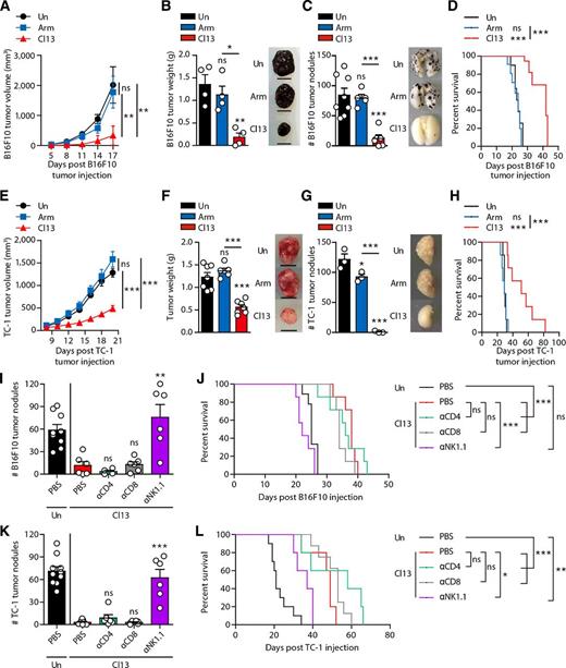 Figure 3. Tumor cells are rejected in LCMV-Cl13–infected mice in an NK cell–dependent manner. A–D, B16F10 or (E–H) TC-1 tumor cells (5 × 105 cells/mouse) were injected (A–B, E–F) subcutaneously or (C–D, G–H) i.v. into uninfected, Arm-immunized (45 dpi), and Cl13-infected mice (45 dpi). A–B, E–F, Tumor size was monitored every 3 to 4 days, and tumor weight was measured at (B) day 17 or (F) day 20 after tumor injection. Scale bars, 1 cm. C and G, 17 days after tumor inoculation, tumor nodules were measured in lungs from each group of mice. D and H, Survival after B16F10 or TC-1 tumor cell injection (i.v.). I and J, B16F10 or (K–L) TC-1 tumor cells (5 × 105 cells/mouse) were injected i.v. into uninfected and Cl13-infected mice (45 dpi). I–L, Depleting anti-CD4, anti-CD8, or anti-NK1.1 or PBS (negative control) was administrated i.v. into Cl13-infected mice prior to tumor injection (amounts of each depleting antibody: 1 mg) and at days 5 and 15 (amounts of each depleting antibody: 0.5 mg) after tumor injection. I, K, After sacrifice, tumor nodules in the lungs at day 17 after tumor inoculation were measured, and (J, L) survival rates after tumor inoculation were evaluated. Data were analyzed by (A–C, E–G) one-way ANOVA with post hoc Tukey test or (I, K) Dunnett test. I, K, Statistical significance was determined by comparison between PBS-treated Cl13-infected mice and anti-CD4-, anti-CD8-, or anti-NK1.1–treated Cl13-infected mice. All line graphs and bar graphs show mean ± SEM. All survival graphs were analyzed using the Mantel–Cox log-rank test (n = 5–10). A, B, G, Data are representative of at least two independent experiments (n = 3–4/group in each experiment). C–F, H–L, Data are pooled from two experiments (n = 3–7/group in each experiment). *, P < 0.05; **, P < 0.01; ***, P < 0.001. ns, not significant.