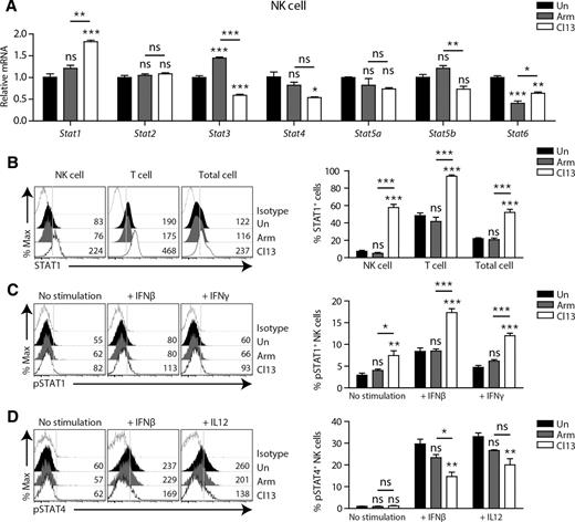 Figure 6. NK cells display increased STAT1 expression and prefer STAT1 over STAT4 phosphorylation in response to INFβ during chronic LCMV infection. A, mRNA was isolated from splenic NK cells from uninfected, Arm-immune (57 dpi), or Cl13-infected mice (57 dpi). mRNA of various STATs were measured by qRT-PCR, normalized to GAPDH, and compared with mRNA in NK cells from uninfected mice to calculate fold induction. B, Ex vivo STAT1 expression in NK, T, and total cells in the spleen from uninfected, Arm-immune (45 dpi) or Cl13-infected mice (45 dpi). Numbers in the plots indicate MFI values. STAT1+ cell percentages are summarized. C and D, Phosphorylation of STAT1 and STAT4 during the NK cell response to INFβ (50,000 U/mL) and IFNγ (100 ng/mL) or IL12 (200 ng/mL) in the splenic NK cells from uninfected, Arm-immune (45 dpi), or Cl13-infected mice (45 dpi). pSTAT1+ and pSTAT4+ NK cell percentages are summarized. One-way ANOVA with post hoc Tukey test was used to test the statistical significance. All bar graphs show mean ± SEM. A, qRT-PCR was performed using mRNA pooled from 30 mice/group. B–D, Data are representative of at least two independent experiments (n = 3–4/group in each experiment). *, P < 0.05; **, P < 0.01; ***, P < 0.001. ns, not significant.