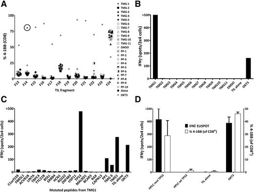 Figure 1. Identification of mutation-reactive T cells from TIL. A, Representative plot of the TIL fragment screen for 41BB+ cells following coculture with TMG-transfected and peptide-pulsed autologous DCs. B, IFNγ ELISPOT after coculture of fragment 14 TIL with TMG-transfected autologous DCs. C, Coculture of fragment 14 TIL with autologous DCs pulsed with individual peptides encoding for each mutation on TMG1 (41BB%, IFNγ). D, Fragment 14 TIL reactivity to HPLC-purified p53 peptide (n = 3); error bars, standard deviation.