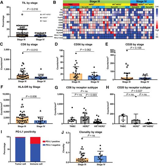 Figure 1. Stage III IBC has a higher infiltrate of lymphoid cells and MHC class II presentation, whereas hormone receptor–positive disease has a lower lymphoid infiltrate. A, Quantification by TIL percentage of stromal area of primary breast tissue from stage III or de novo stage IV disease (n = 62 stage III and 24 stage IV patients). Receptor subtypes are denoted with triangle indicating hormone receptor positive, HER2/neu nonamplified (HR+/HER2–) disease, closed circle indicating HER2/neu-amplified (HER2+) disease, and open circle indicating TNBC. B, Supervised clustering by stage, then receptor status and chemotherapy response of cases that received additional IHC immune assessment (n = 37 stage III and 13 stage IV patients). TIL percentage, CD3, CD8, FoxP3, CD20, CD56, CD68, CD163, tryptase, HLA-DR, and PD-L1 expression on tumor and immune cells are shown, with red indicating higher infiltration and blue lower infiltration. C–F, Quantification of CD8+, CD56+, CD20+, and HLA-DR+ cells by stage (n = 36 stage III and 13 stage IV, 18 stage III and 13 stage IV, 19 stage III and 13 stage IV, 35 stage III and 13 stage IV, respectively). G and H, Quantification of CD8+ and CD20+ cells by tumor receptor status (n = 8 TNBC, 14 HER2+, 14 HR+/HER2+ for CD8+, 4 TNBC, 6 HER2+, 9 HR+/HER2– for CD20+ cells). I, Bar graph representing percentage of cases with PD-L1+ tumors and immune cells (n = 43). J, TCR clonality by stage (n = 23 stage III and 9 stage IV). A, C–H, J, Bar heights indicate median values, and interquartile ranges are presented in addition to individual data points. All comparisons were made using two-sided Mann–Whitney U test (if two groups) or Kruskal–Wallis test with adjustment for multiple testing (if more than two groups).