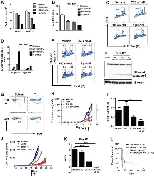 Figure 1. G1XP lymphomas resisted anti-PD1 and were sensitized by OKI-179 to anti-PD1. A, OKI-005 or OKI-179 treatment inhibited G1XP lymphoma proliferation. Cell numbers in triplicates were counted. B and C, OKI-179 treatment reduced mitotic entry of G1XP lymphomas. Cells in triplicates were treated as in A, fixed, and stained with PI and anti-pH3. Cell cycles were determined by flow cytometry. D and E, OKI-179 treatment induced apoptosis of G1XP lymphomas. Cells in triplicates were treated as in A, fixed, and stained for PI and cleaved caspase-3. The percentage of apoptotic cells were determined by flow cytometry. F, Apoptosis of G1XP lymphomas upon OKI-179 treatment. Cells were treated as described in A. Caspase-3 was detected by Western blot analysis and β-actin as the loading control. Data are representative results of two independent experiments for A–F. G, Immunosuppressive phenotypes of TILs in the transplanted G1XP lymphomas. Tumors were harvested 15 days after inoculation and TILs or splenocytes (as control) were analyzed by flow cytometry. H and I, Tumor growth of G1XP lymphomas upon different treatments. G1XP lymphomas were transplanted into syngeneic recipient mice, and tumor-bearing mice (tumor sizes between 250–350 mm3) were randomized into 4 groups and treated with vehicle control, OKI-179, anti-PD1 or both, respectively, on day 15, 17, and 19 after tumor inoculation. Tumor sizes were measured daily (n = 6 per group; H). Tumor weights were measured on day 21 after tumor inoculation (I) and subsequently used for TIL analysis. J and K, Long-term tumor growth of G1XP lymphomas upon different treatments (J) and relative change in tumor volume (RCTV) on day 22 (K). Mice were treated as described in H, vehicle (n = 12), anti-PD-1 (n = 14), OKI-179 (n = 16), and OKI-179/anti-PD1 (n = 14). Data are representative results of three independent experiments for G–K. L, Kaplan–Meier curve of G1XP lymphoma-bearing recipients. Mice were treated as described in H. Data are combined from three independent experiments for L. Statistical significance was calculated with one-way ANOVA, Tukey multiple comparison test (**, P < 0.01; ***, P < 0.001).