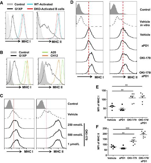 Figure 2. G1XP lymphomas downregulated MHC class I and class II that could be upregulated by OKI-179. A and B, Downregulation of MHC class I and II in G1XP lymphomas compared with activated primary B cells (A) and other murine B-cell lymphomas (B). Cells were stained with anti-mouse MHC class I or class II and analyzed by flow cytometry. C, OKI-179 treatment upregulated MHC class I and II in G1XP lymphomas in vitro. G1XP lymphomas were cultured with vehicle control or OKI-179 for 48 hours. D–F, OKI-179 treatment upregulated MHC class I and II in G1XP lymphoma in vivo. Tumor-bearing recipients were treated as described above on day 15 and tumors were harvested on day 17 after inoculation. Dead cells were excluded and MHC class I or class II expression was determined by flow cytometry (D) and median fluorescence intensity (MFI) was shown (E and F). Statistical significance was calculated with one-way ANOVA, Tukey multiple comparison test (**, P < 0.01; ***, P < 0.001). Representative data are shown from three independent experiments.