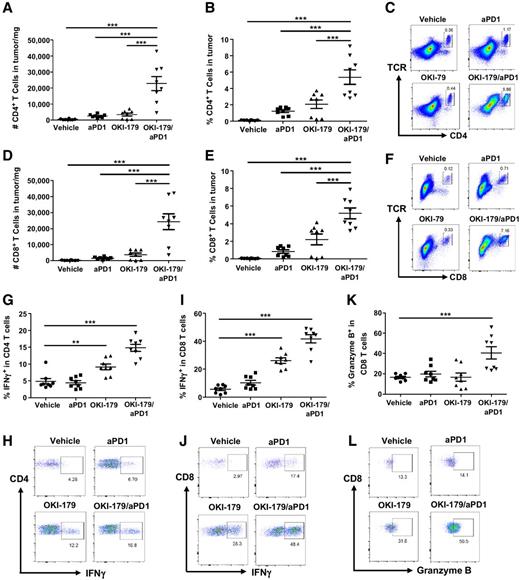 Figure 3. Combined treatment of OKI-179/anti-PD1 increased and activated CD4+ and CD8+ TILs in G1XP lymphomas. Tumor-bearing recipients were treated as indicated, on day 15, 17, and 19 after tumor inoculation. Tumors were harvested on day 21 after inoculation (n = 8 per group). A–F, Cells were stained and analyzed by flow cytometry. Numbers (A), percentages (B), and representative plots (C) of CD4+ TILs in G1XP lymphoma. Numbers (D), percentages (E), and representative plots (F) of CD8+ TILs in G1XP lymphoma. G–L, Harvested tumors were stimulated with PMA/ionomycin for 6 hours in vitro and analyzed by flow cytometry. Percentages (G) and representative plots (H) of IFNγ+CD4+ T cells in total CD4+ TILs. Percentages (I) and representative plots (J) of IFNγ+CD8+ T cells in total CD8+ TILs. Percentages (K) and representative plots (L) of granzyme B+CD8+ T cells in total CD8+ TILs. Data were combined from two independent experiments. Statistical significance was calculated with one-way ANOVA, Tukey multiple comparison test (**, P < 0.01; ***, P < 0.001).
