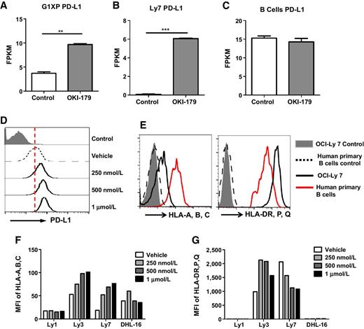 Figure 7. OKI-179 upregulated PD-L1 in murine and human B-cell lymphomas and affected MHC expressions of different human B-cell lymphomas. A–C, Increased transcription of PD-L1 in G1XP and OCI-Ly7 lymphomas upon OKI-179 treatment. G1XP lymphomas (A), OCI-Ly7 (B), and activated primary B cells (C) were cultured with vehicle control or OKI-179 for 16 hours. D, Upregulation of PD-L1 in G1XP lymphoma upon OKI-179 treatment. G1XP lymphomas were cultured with vehicle control or OKI-179 for 48 hours. Cells were stained and analyzed by flow cytometry. E, Downregulation of HLA-A, B, and C in OCI-Ly7 lymphoma compared with activated human primary B cells. F and G, Different regulations of HLA in human B-cell lymphomas upon OKI-179 treatment. Various human B-cell lymphoma lines were cultured with vehicle control or OKI-179 for 24 hours. Lymphomas were stained and analyzed by flow cytometry. Representative data are shown from two independent experiments. Statistical significance was calculated with unpaired t test (**, P < 0.01; ***, P < 0.001).