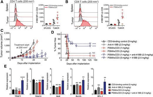 A PSMA-Targeting CD3 Bispecific Antibody Induces Antitumor Responses ...