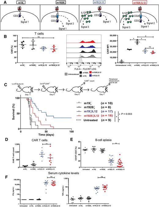 Figure 1. CAR T cells engineered with CD28 and IL12 fail to sustain antitumor efficacy. A, Schematic representation of CAR T cells. B, Flow cytometry data demonstrating CAR expression in mouse T cells in terms of percentage, representative flow cytometry plot, and mean fluorescence intensity (MFI). Data shown are the mean ± SEM with a total n of 5 per group of three independent experiments. Significance was determined through one-way ANOVA. MFI CAR expression: *, P = 0.0022, m1928ζ compared with m19ζ; *, P = 0.0005, m1928ζ compared with m19ζ12; *, P = 0.0001, m1928ζ compared with m1928ζ12. C, EL4mCD19 tumor–bearing C57BL/6 mice, not pretreated with cyclophosphamide, treated intravenously with CAR T cells. Significance determined through log-rank Mantel–Cox test, with 95% confidence interval. Data shown are from three independent experiments (n of 9–17 per group). m19ζIL12 compared with untreated *, P < 0.001; m1928ζIL12 compared with untreated *, P = 0.0129; m19ζIL12 compared with m1928ζIL12 *, P = 0.0033. D, CAR T-cell counts normalized to total cell count obtained from bone marrow day 5 after treatment. CAR T cells were identified by vex-GFP tag through flow cytometry. Significance determined through one-way ANOVA. Data shown are the mean ± SEM of three independent experiments (n = 4–6 mice per group). E, Peripheral blood obtained on day 7 after treatment was assessed for B-cell aplasia by detecting CD19+CD3− cells through flow cytometry. Significance determined through one-way ANOVA. Data shown are the mean ± SEM of three independent experiments (n = 9–15 mice per group). F, Serum was assessed for IFNγ and TNFα through Luminex on day 7 after CAR T-cell treatment Significance determined through one-way ANOVA. Data shown are the mean ± SEM of three independent experiments (n = 6–10 mice per group). ns, not significant.