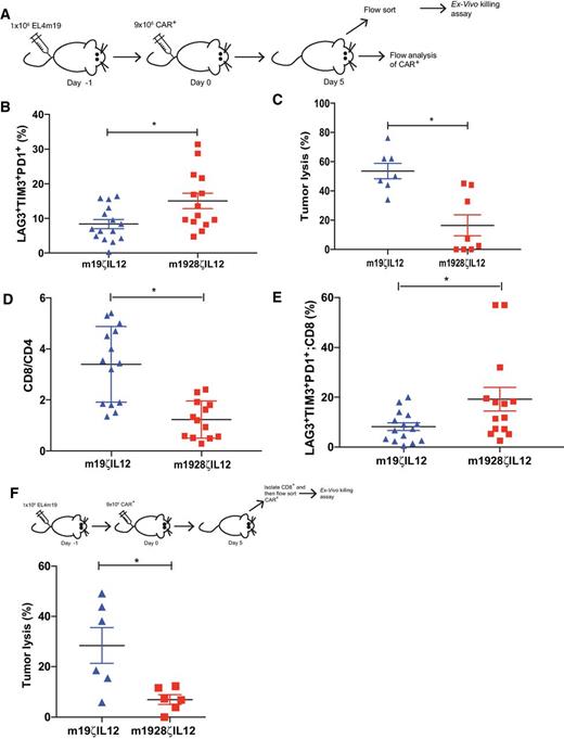 Figure 2. CAR T cells engineered with CD28 and IL12 become dysfunctional in vivo. A, Schematic diagram of experimental setup to analyze CAR T cells. C57BL/6 mice were inoculated with EL4mCD19 tumor day -1 and treated with CAR T cells intravenously day 0. CAR T cells were analyzed or isolated by FACS day 5 or day 10 from the bone marrow and spleen. B, CAR T cells, day 5 after infusion, were characterized by flow cytometry. Data shown are the mean ± SEM of three independent experiments. Significance of *, P = 0.0146 was determined by unpaired t test (n = 14–15 per group). C, CAR T cells were isolated by FACS from the bone marrow, cocultured with EL4mCD19 tumor targets, and then assessed for cytotoxicity 24 hours later, using a luciferase killing assay. Data shown are the mean ± SEM of three independent experiments. Significance of *, P = 0.0014 was determined by unpaired t test (n = 7–8 per group). D, CAR T cells, day 5 after infusion, were characterized by flow cytometry. Data shown are the mean ± SEM of three independent experiments. Significance of *, P < 0.0001 was determined by unpaired t test (n = 13–14 per group). E, CD8+ CAR T cells, day 5 after infusion, were characterized by flow cytometry. Data shown are the mean ± SEM of three independent experiments. Significance of *, P = 0.0301 was determined by unpaired t test (n = 14–15 per group). F, CAR T cells were isolated by FACS from the bone marrow, selected for CD8+ T cells, cocultured with EL4mCD19 tumor targets, and then assessed for cytotoxicity 24 hours later, using a luciferase killing assay. Data shown are mean ± SEM of three independent experiments. Significance of *, P = 0.0155 was determined by one-way ANOVA (n = 6 per group).
